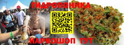 амф Кимры