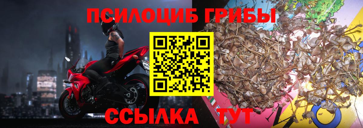 Псилоцибиновые грибы Psilocybe  Вход с VPN  где продают   Кудымкар 